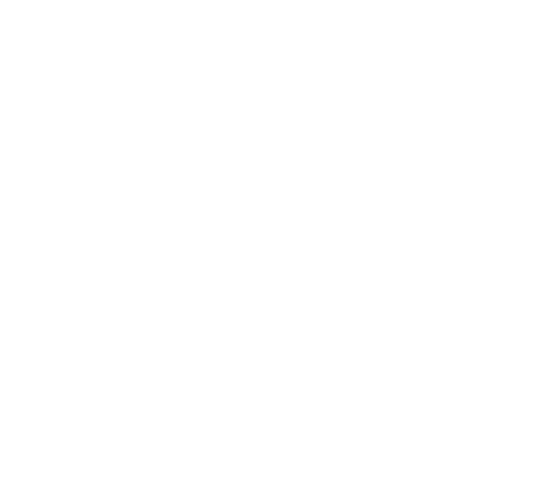 Negative Utilitarian Society